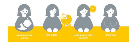 Infografika: Jak ovlivňuje strava mateřské mléko a kojence