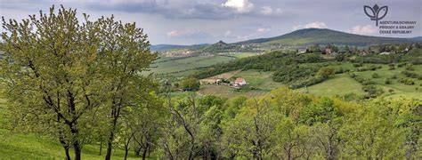 obrazek_srovnani_savosti