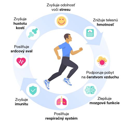 infografika-pruvodni-cviceni-postup