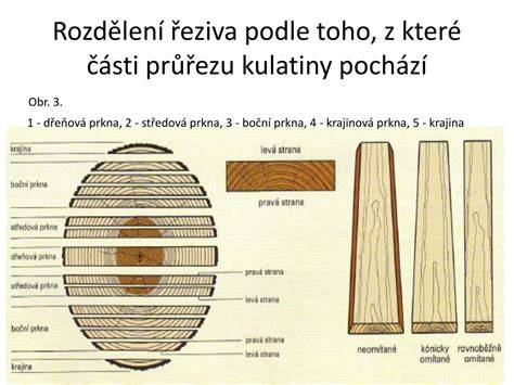 Infografika: Rozdělení císařských řezů podle indikací a plánovanosti