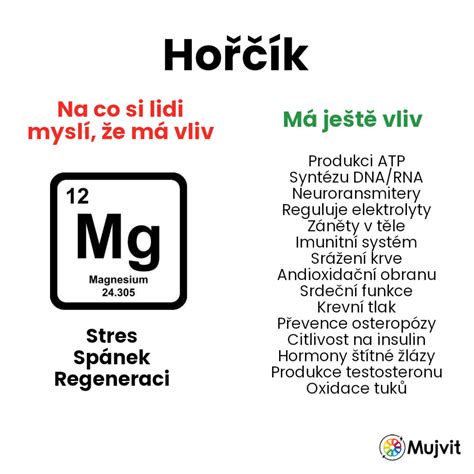 Infografika: Hořčík a jeho role v těhotenství - svaly, nervový systém a kontrakce