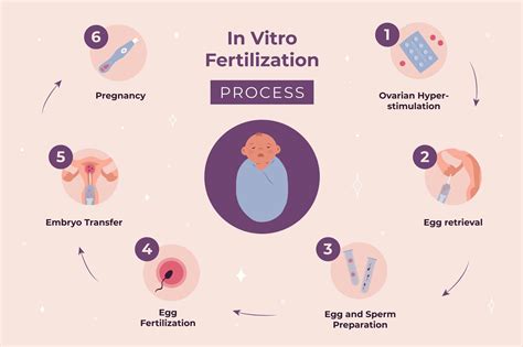 Infografika: Jak probíhá IVF cyklus a role mražení embryí