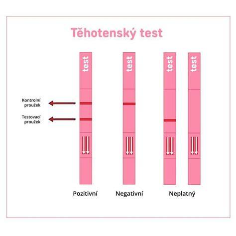 infografika_priblizeni_hCG_těhotenský_test