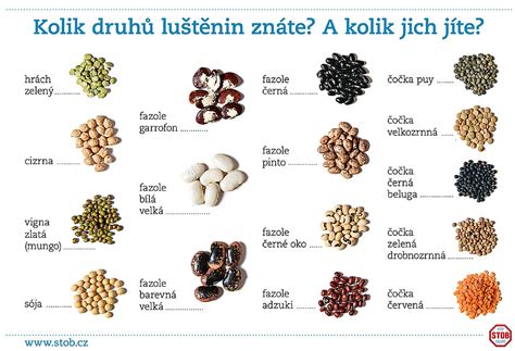 Obrázek s různými druhy dětských pokrmů Hipp, včetně masozeleninových variant.