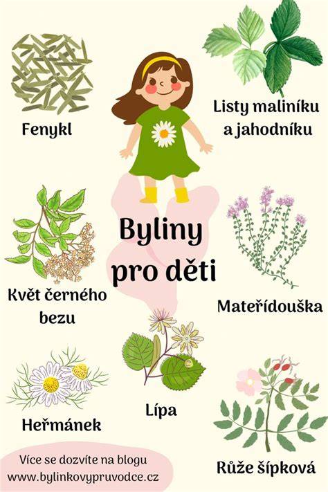 Infografika: Bezpečná a nebezpečná byliny v těhotenství