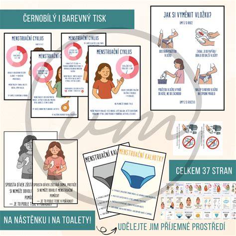 Infografika: Poporodní vložky a jejich vrstvy, typy a použití