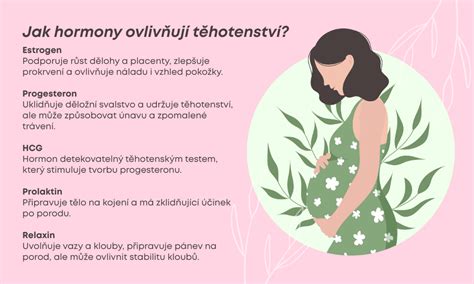 Infografika: Hormony a intimita během těhotenství a po porodu