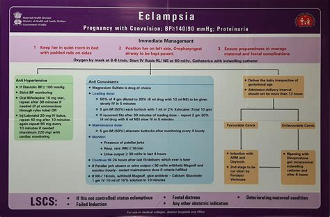 Infografika - Krokový management eklampsie: okamžitá stabilizace, MgSO4, antihypertenziva, připravenost na porod, pokračující péče po porodu