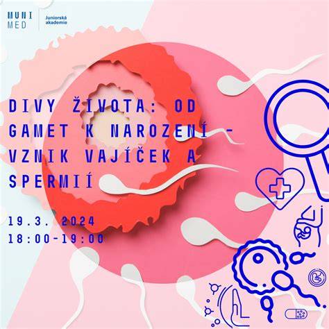 Infografika znázorňující cestu spermií od varlete po močovou trubici