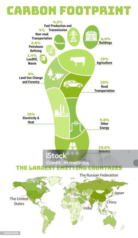 Infografika: Ekologická stopa plenek a hlavní rozdíly mezi jednorázovými a látkovými plenami