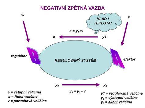 schéma negativní a pozitivní zpětné vazby v biologických systémech