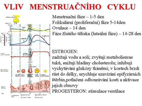 Grafické znázornění změn bazální tělesné teploty během menstruačního cyklu s vyznačením ovulace a luteální fáze.