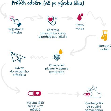 Infografika: Jak probíhá odběr krevní plazmy a tipy pro zvládnutí strachu