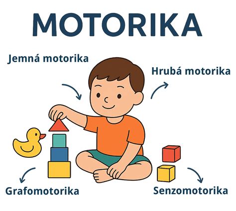 Infografika: 19-24 měsíců - hrubá a jemná motorika