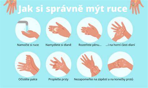 Schéma správného mytí a sušení morčete během koupání