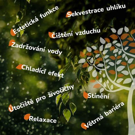 Schéma znázorňující účinky bylin na jaterní funkce