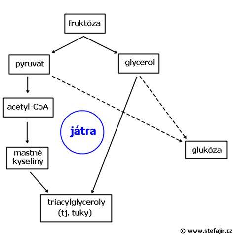 Schema: vliv fruktózy na játra a inzulínovou senzitivitu