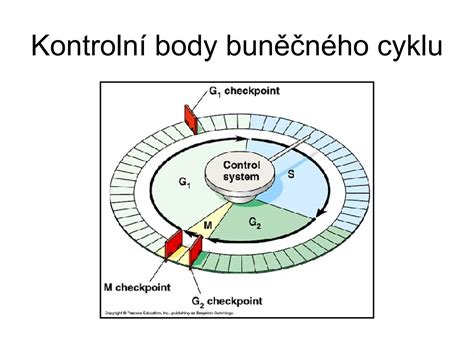 Infografika: Správné podsazení a kontrolní body