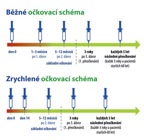 Infografika: Jak probíhá hexavakcína a typické reakce po očkování