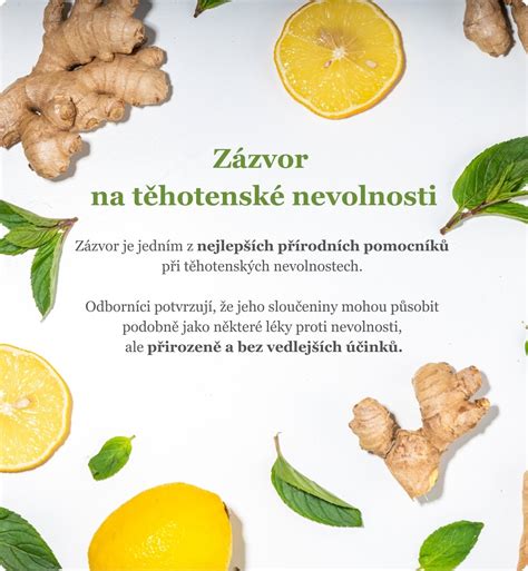 Infografika: Snadná pravidla pro zvládání těhotenské nevolnosti a pálení žáhy