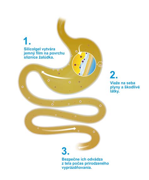 infografika znázorňující mechanismus účinku glycerinových čípků na střevo