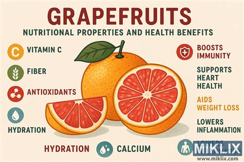 obrázek grapefruitu a bylinek pro ilustraci přírodního složení