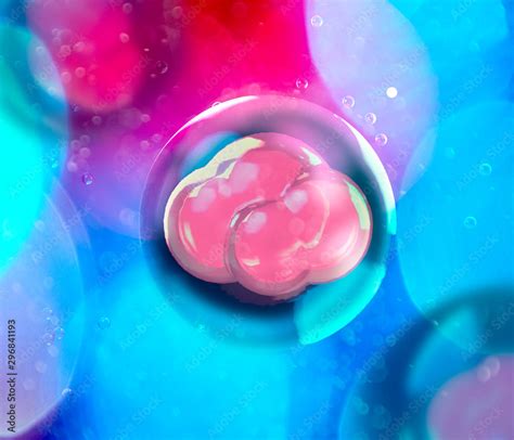 ilustrace procesu IVF s embryem