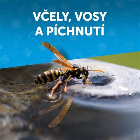 Infografika: Místo vpichu a úhly vpichu při intramuskulárním podání
