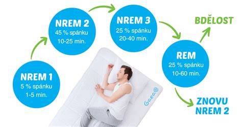 Infografika: Fáze poporodní rekonvalescence