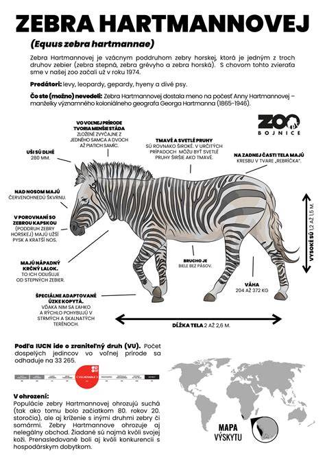 Infografika: doporučené uspořádání chovu chůviček v kleci a voliéře