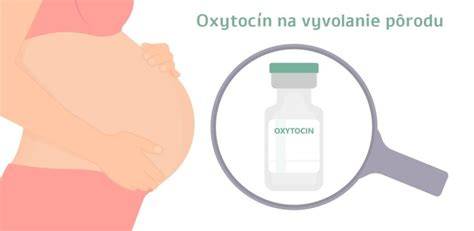 Infografika: Oxytocin - produkce, ukládání a účinky během těhotenství a porodu