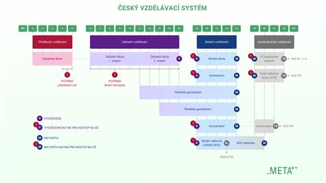 schéma hormonálního systému