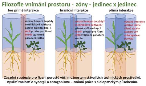 Schéma zobrazující rozdíl mezi spinální a celkovou anestezií