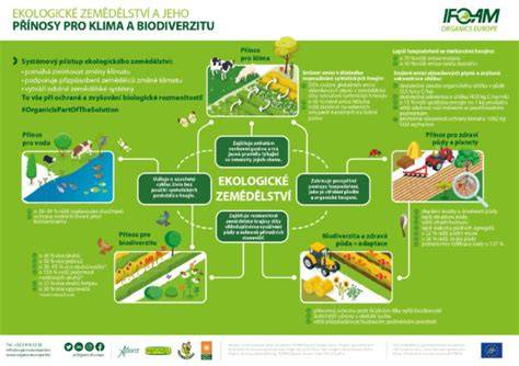 Infografika: Porovnání nákladů a ekologického dopadu plenek