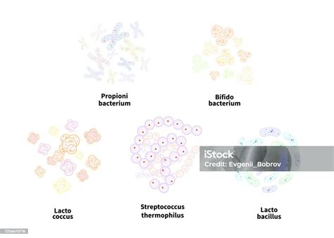 Ilustrace různých typů kojicích polštářů