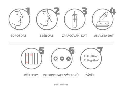 schéma jednotlivých kroků IVF