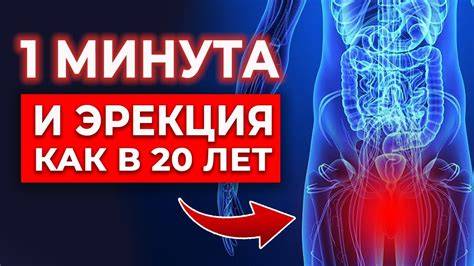 Infografika znázorňující přenos ureaplazmat a mykoplazmat během pohlavního styku a těhotenství