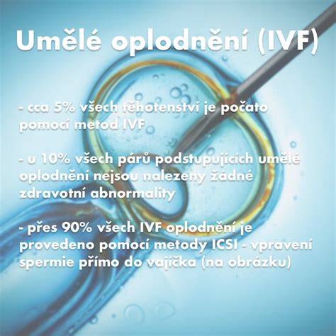 Tok IVF cyklu: stimulace, odběr, oplodnění, transfer