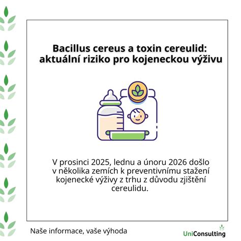 koláž různých značek a typů kojenecké výživy