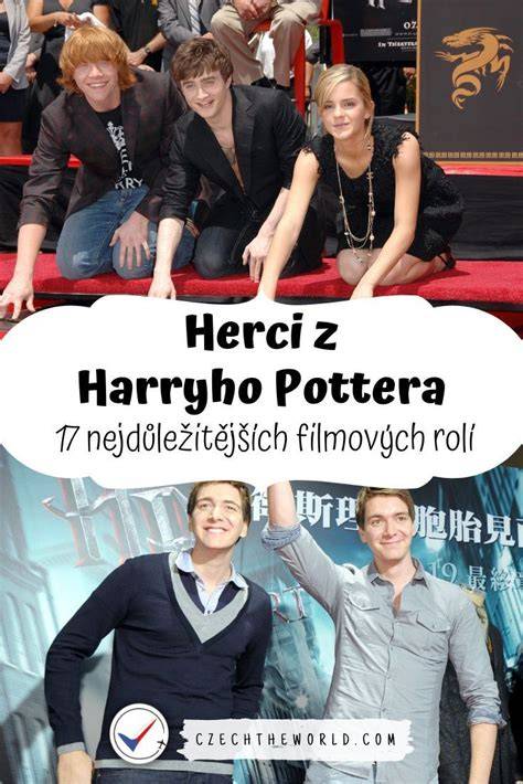 Infografika: Přehled významných filmových rolí Agnieszky Wagnerové