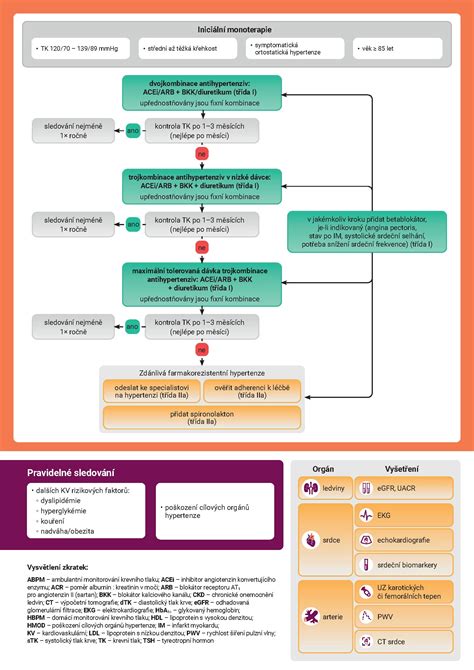 Infografika: Základní postup léčby zánětu nosohltanu a bezpečné léky během kojení