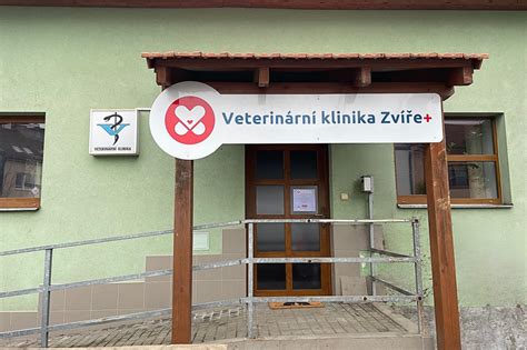 Veterinární klinika s ultrazvukovým přístrojem pro potvrzení březosti