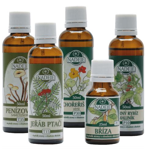 grafické znázornění ženského reprodukčního systému