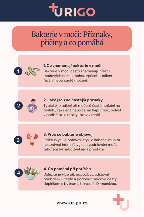 Infografika: Krok za krokem výběr plenek velikosti 5