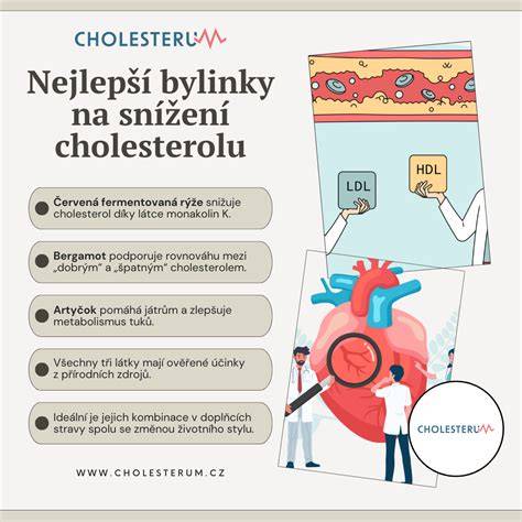 Infografika: Návod na měření velikosti podprsenky krok za krokem