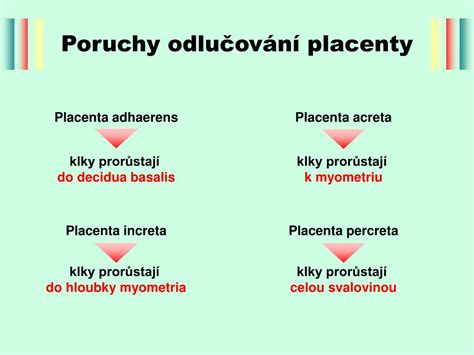 schéma: možné příčiny poporodního krvácení
