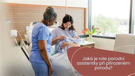 Schéma fyziologického porodu a role porodní asistentky