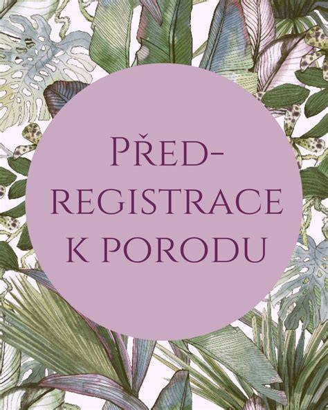Ilustrace: Podpůrné prostředí porodnice přátelské k fyziologickému porodu