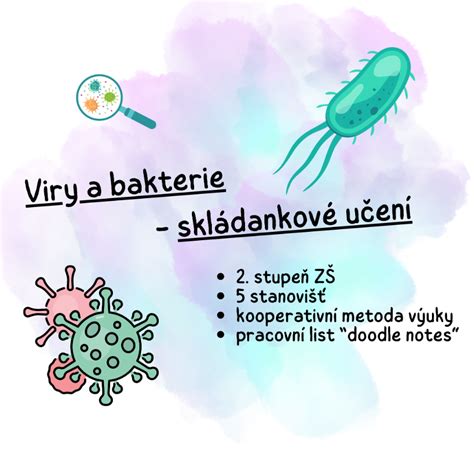 mikroskopické zobrazení bakterií a virů