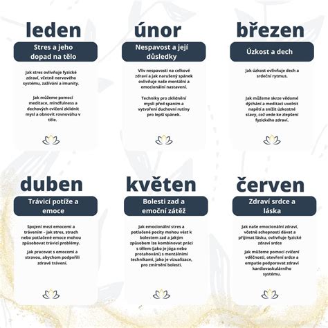 infografika vysvětlující různé interpretace katolických hnutí a jejich spojitost s románem
